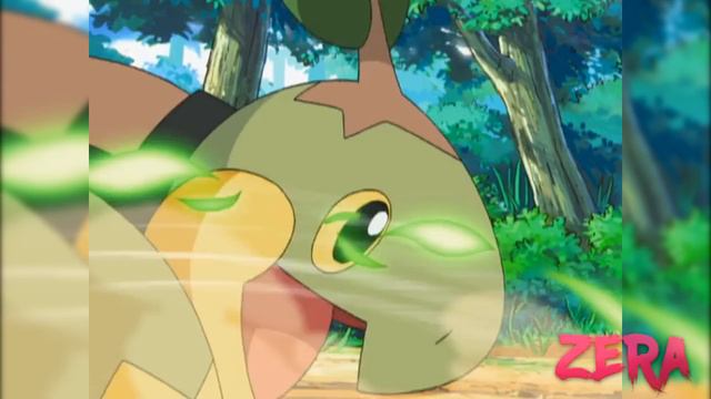 Ash Vs Gardenia - 2nd Sinnoh Gym Battle | Pokemon AMV