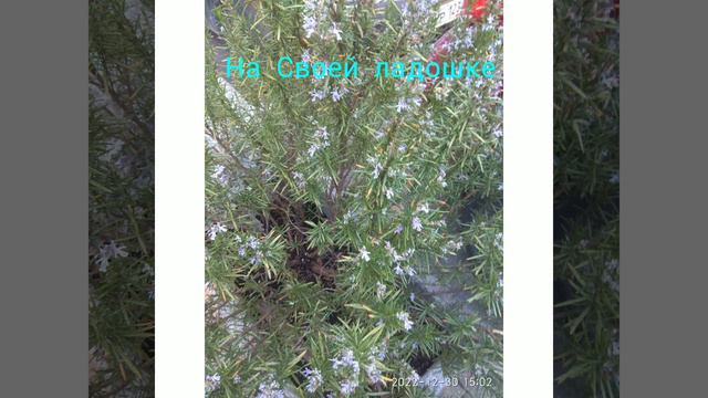 Наилучшие пожелания ТЕБЕ