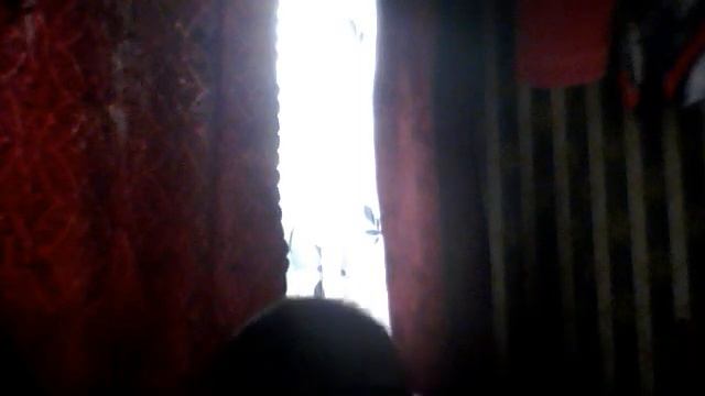 Видео с веб-камеры. Дата: 5 октября 2013 г., 14:51.