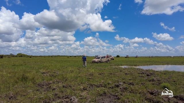 650a7fae498316dfccc6006682179421