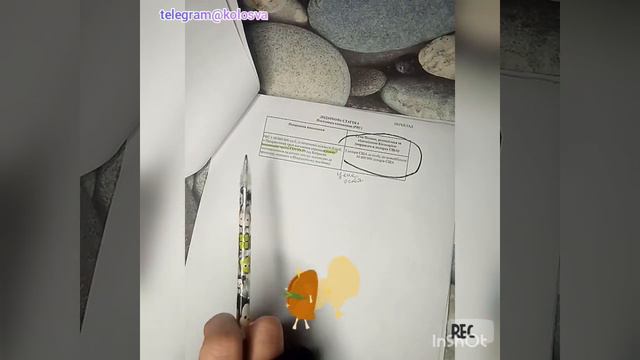 Разбор договора о позике на 90💰 между УКРАИНОЙ и Международным банком