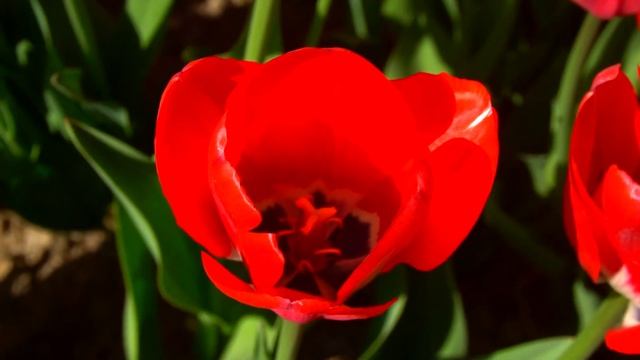 Рецепты из Отходов