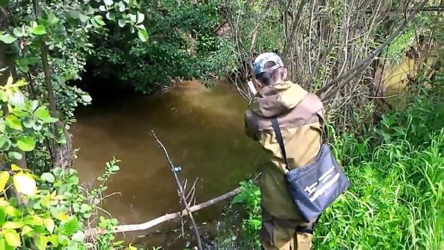 Ловля щуки летом на жерлицу поставушку (практика). Щука на живца.