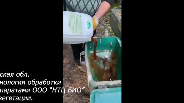 Применение микробиологического удобрения Биогор серии КМ