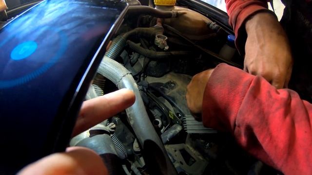 PHP Тестирование с PyTest