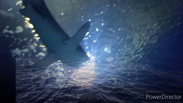 Гусиноозёрск, Владивосток, Красноярск