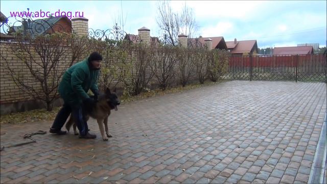 Охрана территории.