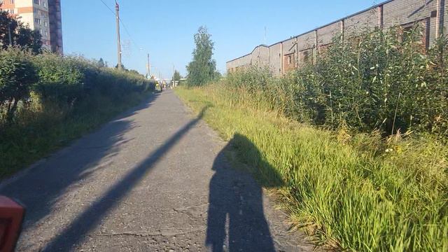 Жованый Крот Николая Николаевича