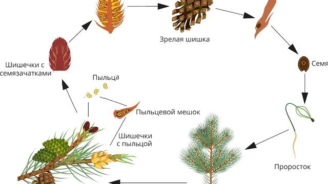 1bf6124b03c335b377bc34aa55578dd5