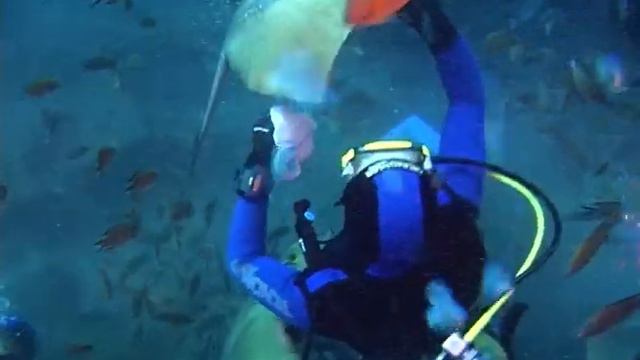 Остров Тенерифе. Подводные приключения на Канарах. Вторая серия.