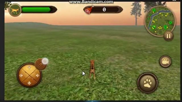 кая кошка выжить обзорчик