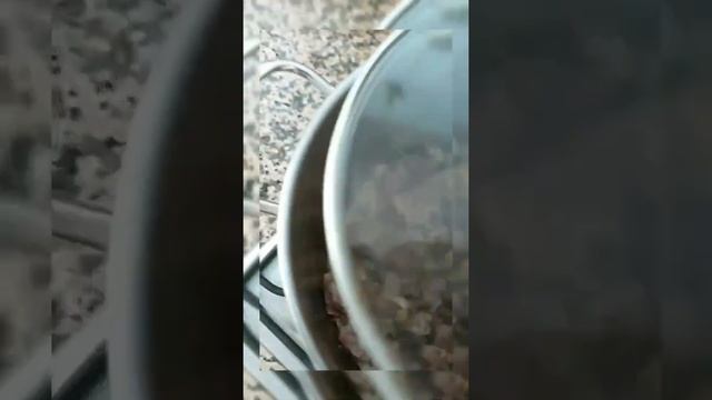 Chorba Frik, главный суп в Алжире ??