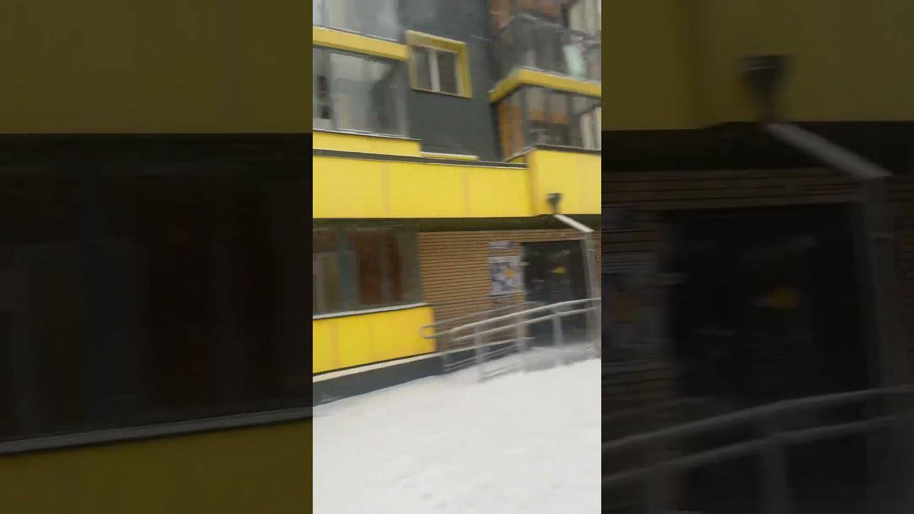 ТА ПОГОДА, КОТОРУЮ МЫ ЗАСЛУЖИЛИ ЗА ТОТАЛЬНОЕ УНИЧТОЖЕНИЕ ЛЕСОВ