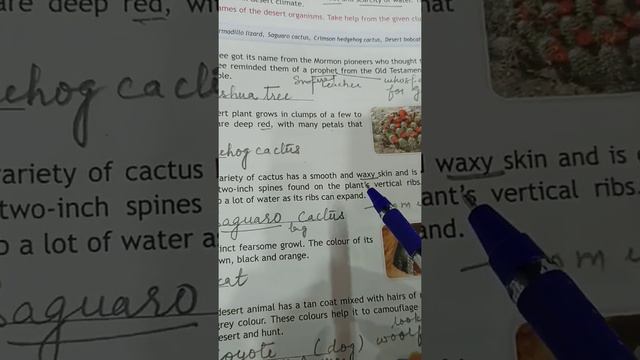 96b9d168278b10ded442a9d977bf793b