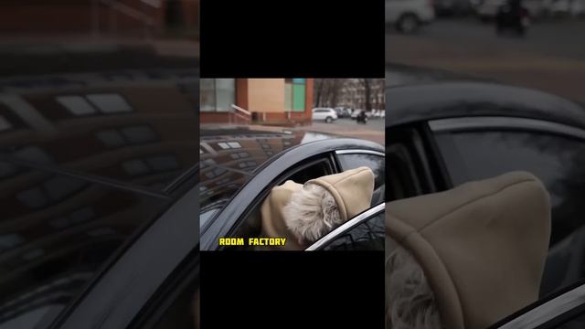 Подпишись! КОРОЧЕ ГОВОРЯ, ЭКСТРЕМАЛЬНАЯ ПОЕЗДКА С ДРУЗЬЯМИ В НОВЫЙ ГОД #roomfactory #корочеговоря