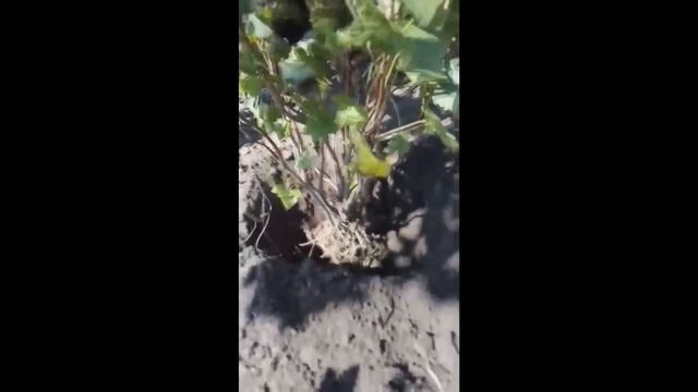 B43b2457e4b9b0471873aeade60654bd