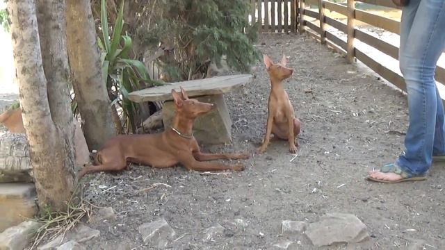 Cf5e64038951f3da3c79d5f70a1a2e90