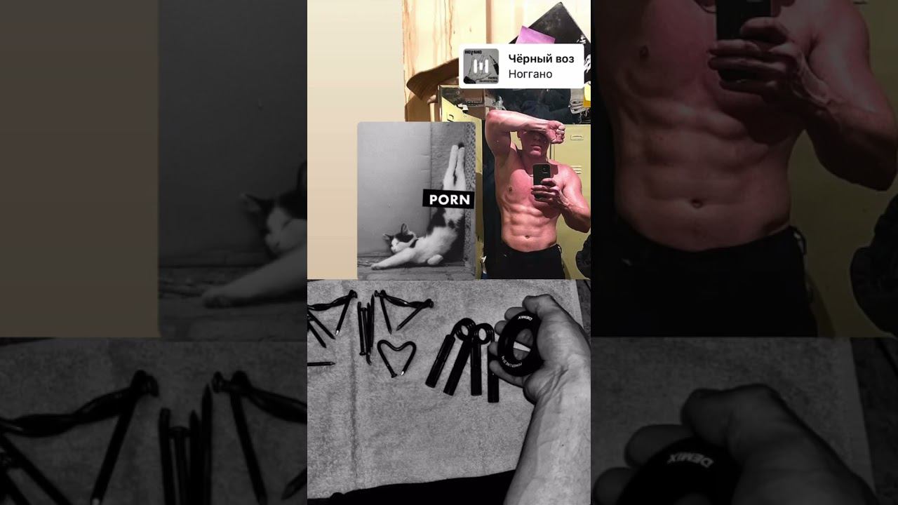 #fitness #motivation #fitnessmotivation #праведныйвандализм #рекомендации