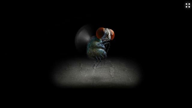 5bd74343f22a4336682b34dd34fb4fe9