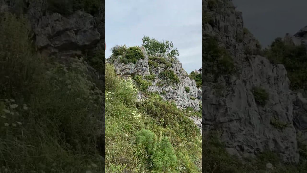 2 сентября 2024 г.