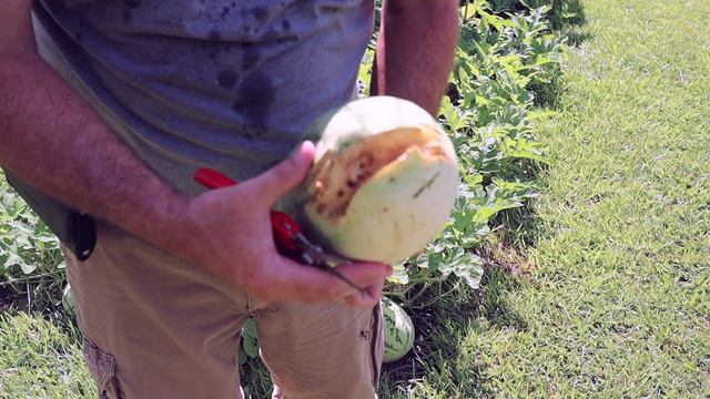 Choose Your Own Title