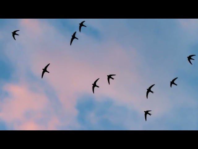 876b460ca6f6cad5b8d53bb2fb985648