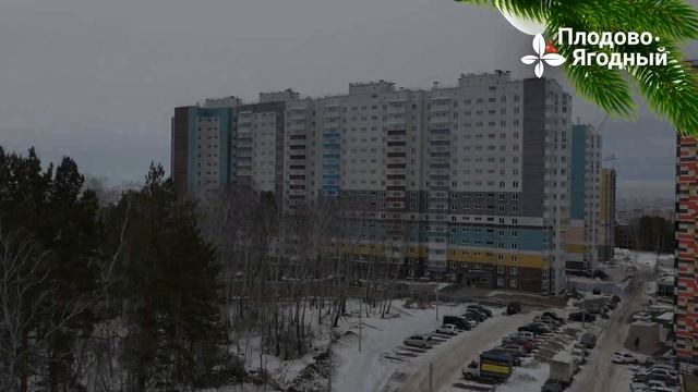 Зима в Плодово-Ягодном