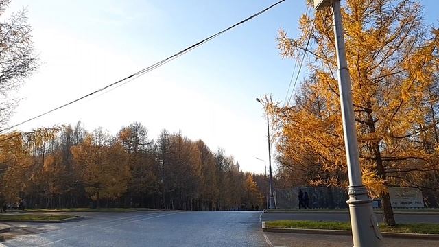 Фельдшер скорой онемела, прибыв на вызов к парню со следами от кандалов, от истории душа похолодела