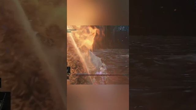 Понтифик Саливан / Dark Souls3