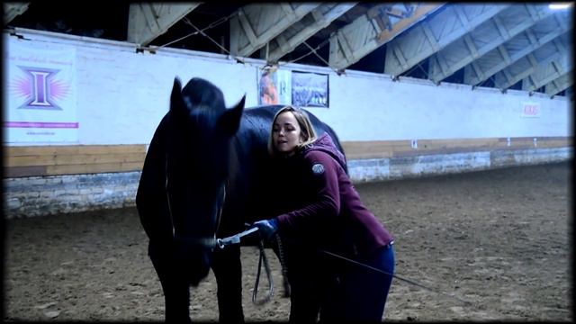 Как хвалить лошадь?