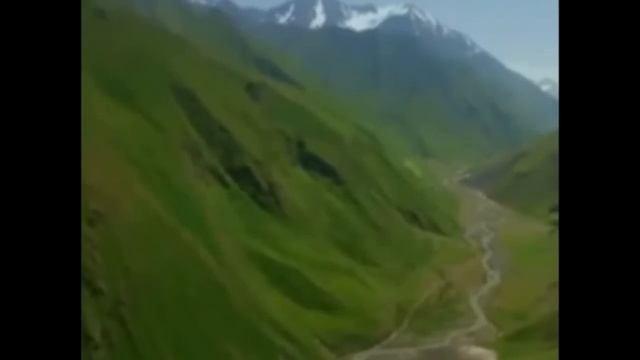 77971910256eaea312954c5c721b5c10