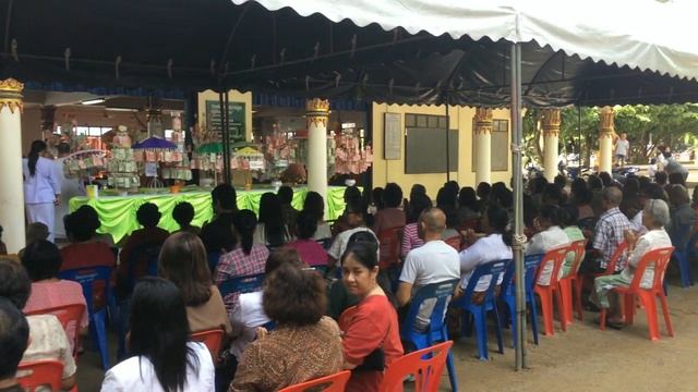 Экскурсия Кхао Сок + Чео Лан.  Храм обезьян Ват Суван. Khao Sok National Park + Cheo Lan Lake