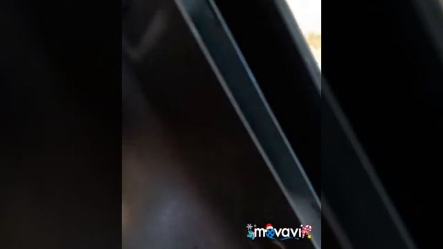 Ремонт дверей: снятие обшивки и замена ручек