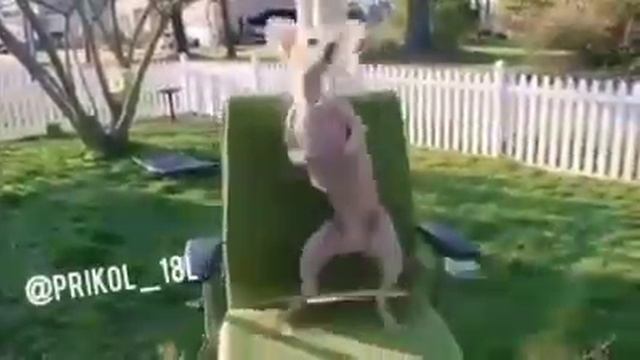 У нас сегодня танцы)