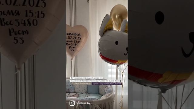 Выписка из роддома подготовка. Шары и цветы на выписку из роддома