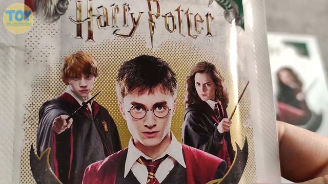 ⚡️ Álbum De HARRY POTTER SAGA - Diferencia Entre álbum De BRASIL Vs ITALIA ⚡️Tapa Blanda Y Tapa Dur