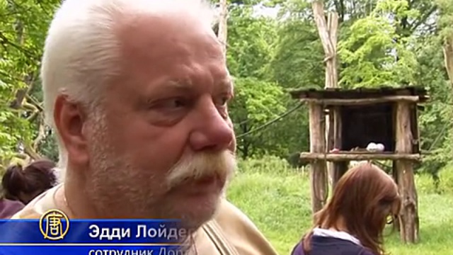 Орангутанг предсказал победителя Кубка Германии