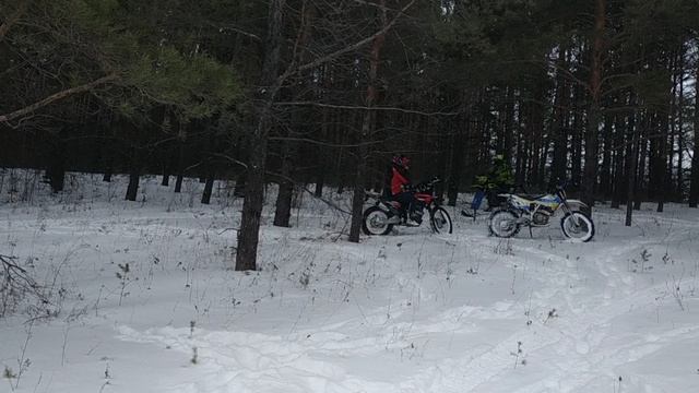 VID_20230204_142205.mp4