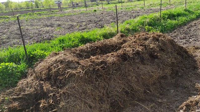 Грядки посадки