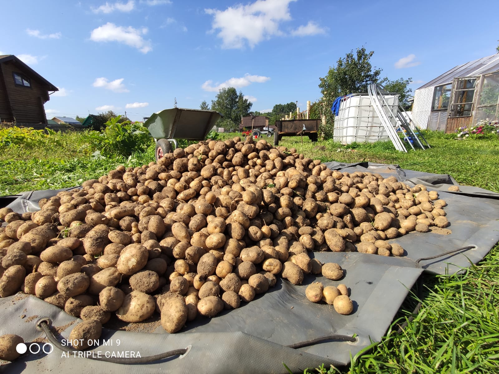 F24d3b215c571f83241c765f778aa3ce