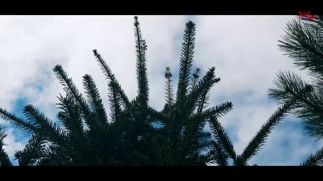 Поездка в пос. Бурный турбаза 