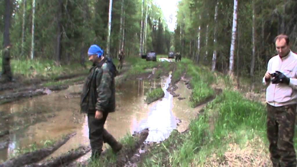 3D NIVA  катаемся по тайге, дорога на Кулайский крест