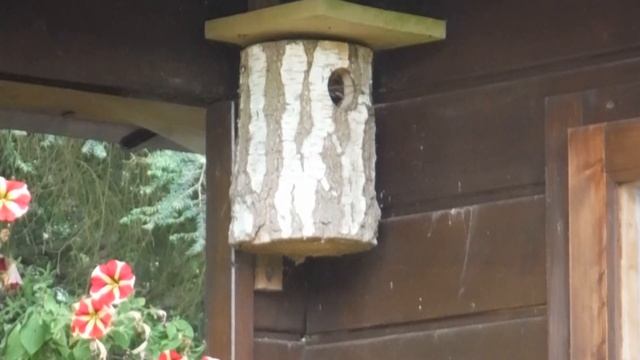 NOWE WŁOSY I NIESPODZIANKA W OGRODZIE