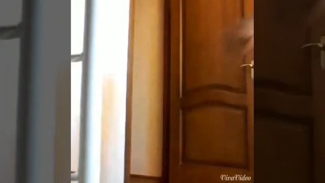 Как научиться делать перекидку, ответ здесь!!!