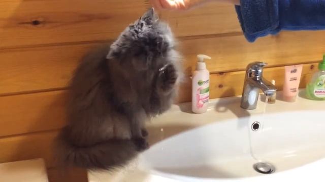 D51a32f6bd460964331759b927b70148