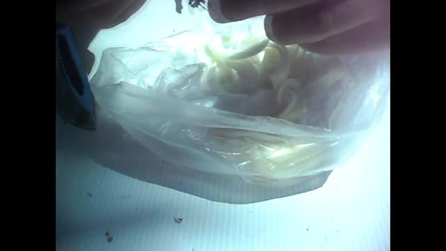 Соленые лимоны | закуска из лимонов