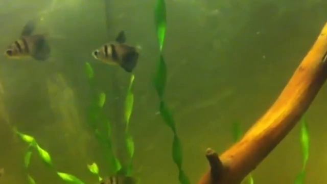 B51555d4fa9c728c3017be65f8d55c23