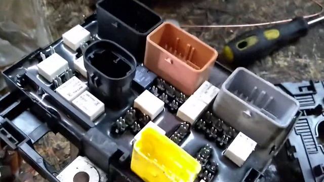 Дизайн, Переносящий Вас в Мир Красоты