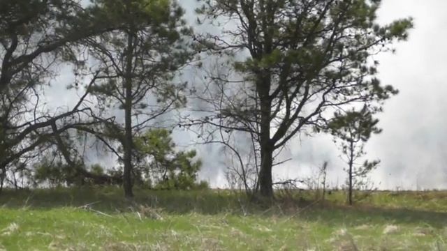 State Game Lands 72 Controlled Burn
