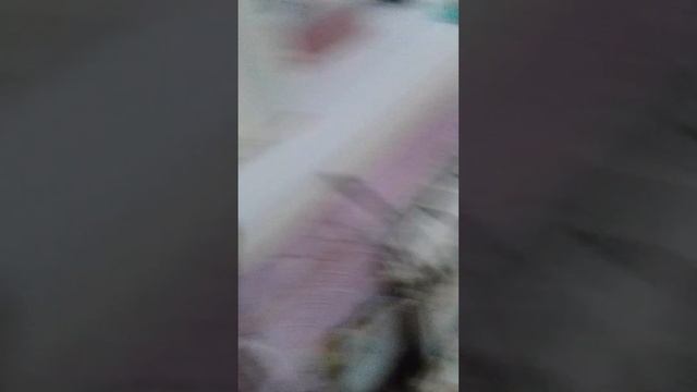 Не работает Светодиодная лента ? что делать????